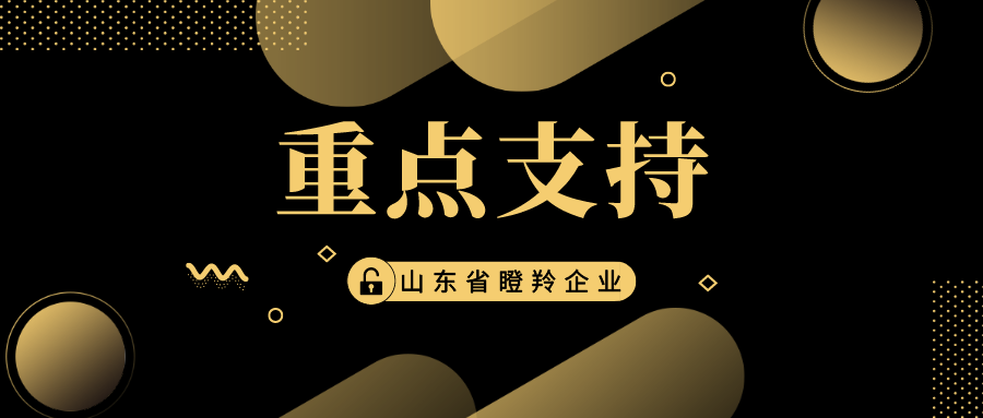 这4类企业申报山东省瞪羚企业,可获重点支持!