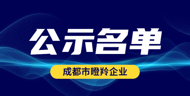 2020年度第二批拟备案四川省瞪羚企业名单:共62家