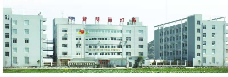 温州新明丽自研节能高效灯饰,荣升高企获奖励41万!