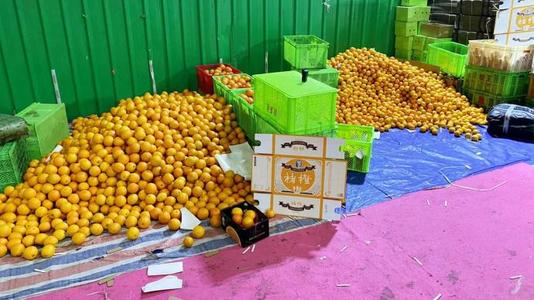 上海警方侦破制售假冒褚橙案：从甜橙、商标到二维码全是假的