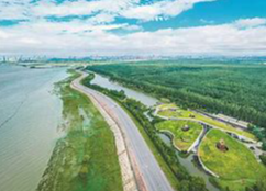 《中华人民共和国湿地保护法》——首部湿地保护法律出台
