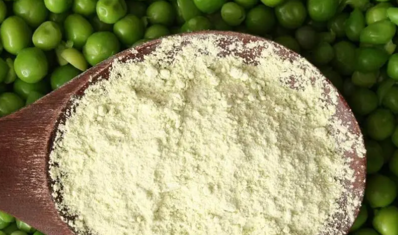 蛋白回收率达到95.5%，双塔食品豌豆蛋白研究趋于精准化