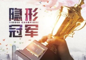 中国最低调企业:老板欠债创业 全员不打卡却成全球第一