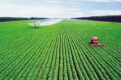 农业农村部：加快种植业转型升级 保障重要农产品供给