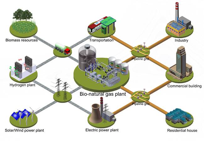 大连化物所的新技术：实现生物质催化转化制备低碳天然气