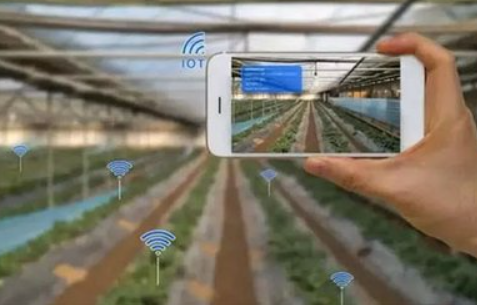 可复制可推广！数字化技术赋能现代农业发展