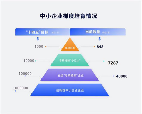 专精特新小巨人企业名单