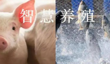 钙钛矿:从乌拉尔山脉里走出的一种新型光伏电池