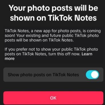 TikTok确认正开发新App：有点像小红书