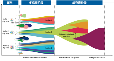 我国科研团队揭示早期肿瘤多克隆起源的普遍性