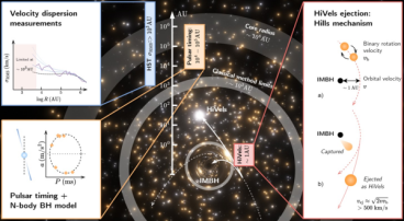 球状星团的高速星为中等质量黑洞存在提供证据